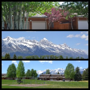 Teton Shadows